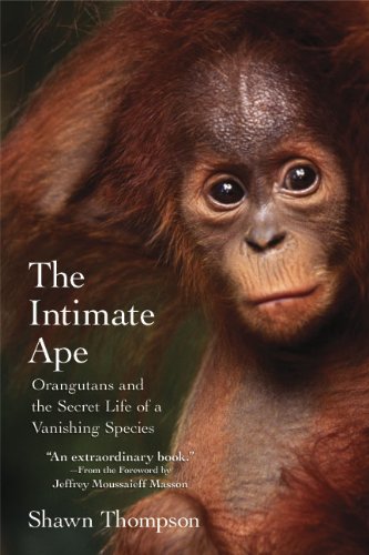 The Intimate Ape: Orangutans and the Secret Life of a Vanishing Species by Shawn Thompson