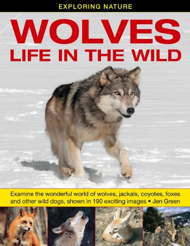 Exploring Nature: Wolves - Life In The Wild: Examine The Wonderful World Of Wolves, Jackals, Coyotes, Foxes And Other Wild Dogs, Shown In 190 Exciting Images. by Jen Green