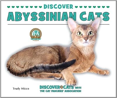 Discover abyssinian cats