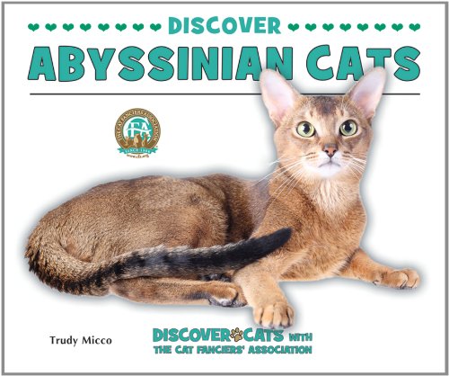 Discover abyssinian cats by Trudy Micco