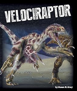Velociraptor by Susan H. Gray