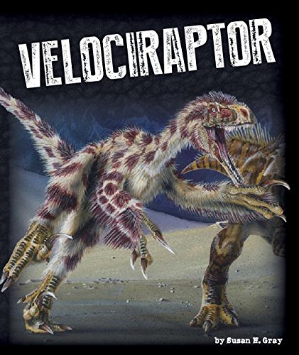 Velociraptor by Susan H. Gray