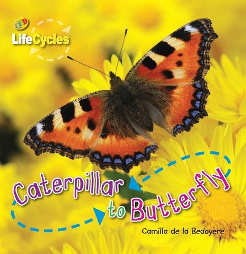 Caterpillar to Butterfly by Camilla De la Bedoyere