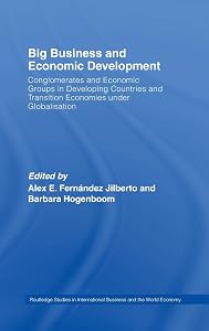 Big Business and Economic Development: Conglomerates and Economic Groups in Developing Countries and Transition Economies under Globalisation by Alex E. Fernández Jilberto