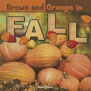 Orange and Brown in Fall