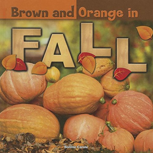 Orange and Brown in Fall by Bonnie Carole