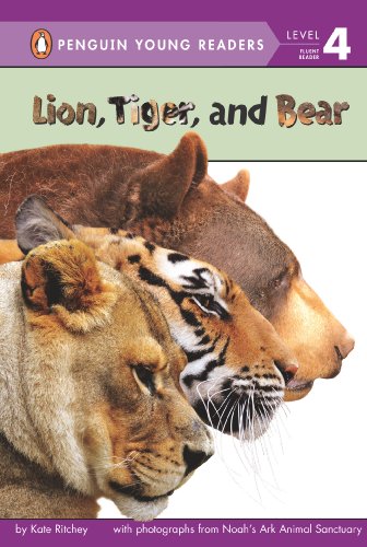 Lion, Tiger, and Bear by Kate Ritchey
