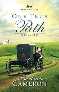 One True Path: Amish Roads Series - Book 3