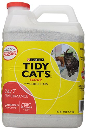 best kitty litter
