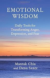 Emotional Wisdom: Daily Tools for Transforming Anger, Depression, and Fear