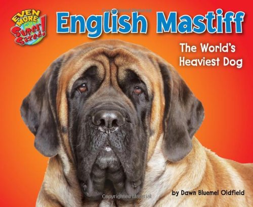 English Mastiff: The World's Heaviest Dog by Dawn Bluemel Oldfield