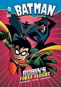 Batman: Robin's First Flight