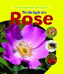 The Life Cycle of a Rose (Learning About Life Cycles)