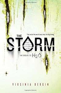 The Storm by Virginia Bergin