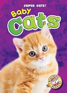 Baby cats