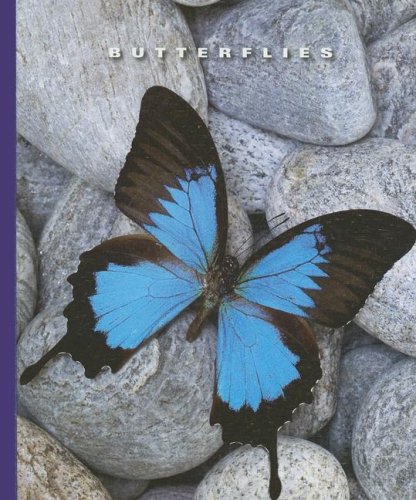 Butterflies (World of Insects) by Sophie Lockwood
