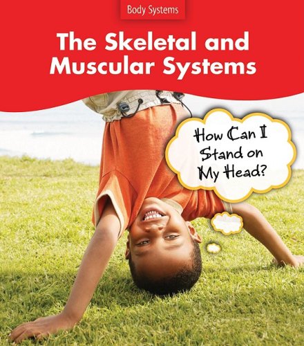 The Skeletal and Muscular Systems: How Can I Stand on My Head? (Body Systems (Heinemann Paperback)) by Sue Barraclough