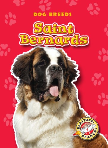 Saint Bernards by Anne Wendorff