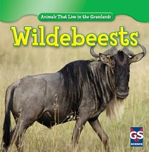 Wildebeests