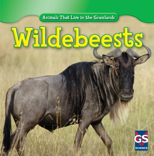 Wildebeests by Mary Molly Shea