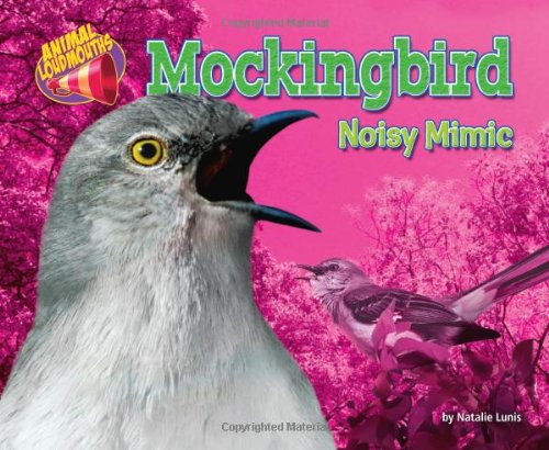 Mockingbird: Noisy Mimic by Natalie Lunis