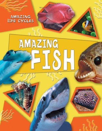 Amazing Fish (Amazing Life Cycles) by Honor Head