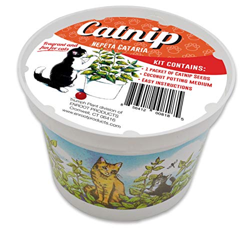 Algopix Similar Product 13 - Enroot Products Fragrant  Fun for Cats