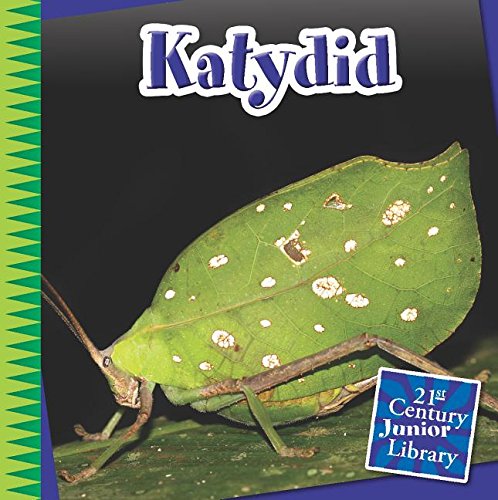 Katydid by Michael Shoulders