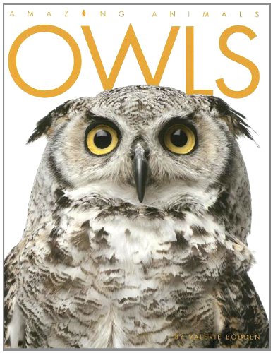 Owls by Valerie Bodden