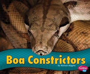 Boa Constrictors