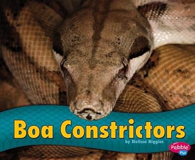 Boa Constrictors