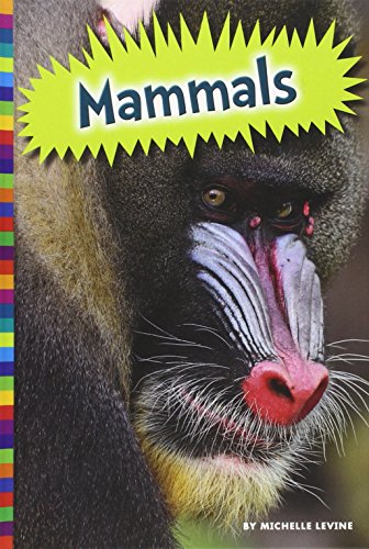 Mammals by Michelle Levine