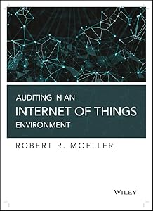 Auditing in an Internet of Things Environment: Key Internal Control Issues in Iot and Blockchain Environments