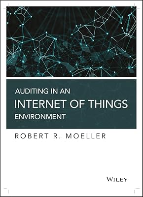 Auditing in an Internet of Things Environment: Key Internal Control Issues in Iot and Blockchain Environments