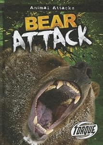Bear Attack