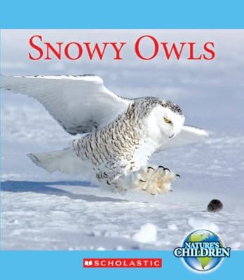 Snowy Owls