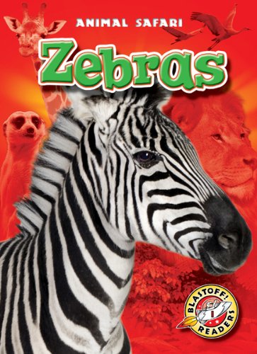 Zebras by Derek Zobel