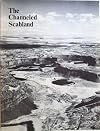 The Channeled Scabland: A Guide to the Geomorphology of the Columbia Basin - Prepared for the Comparative Planetary Geology Field Conference held in the Columbia Basin June 5-8, 1978