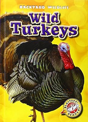 Wild Turkeys