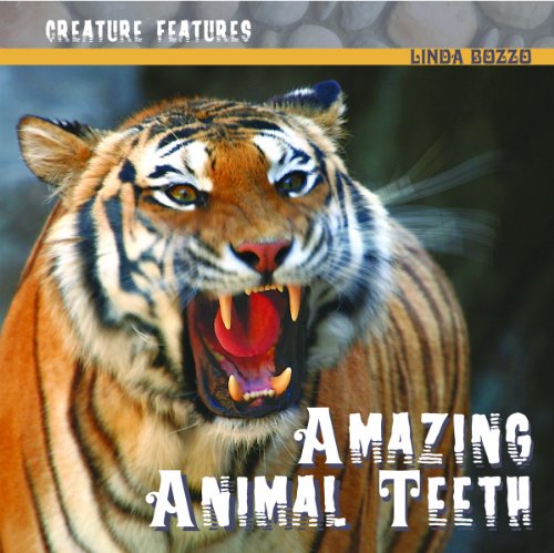 Amazing Animal Teeth (Creature Features) by Linda Bozzo