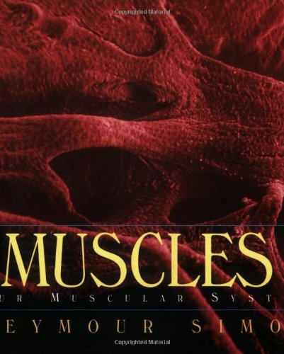 Muscles: Our Muscular System by Seymour Simon