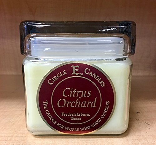 Algopix Similar Product 8 - Circle E 28oz Citrus Orchard Candle