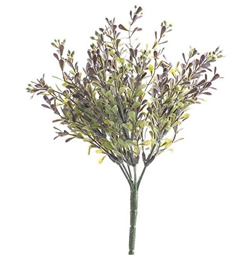 Algopix Similar Product 16 - Factory Direct Craft Small Versatile