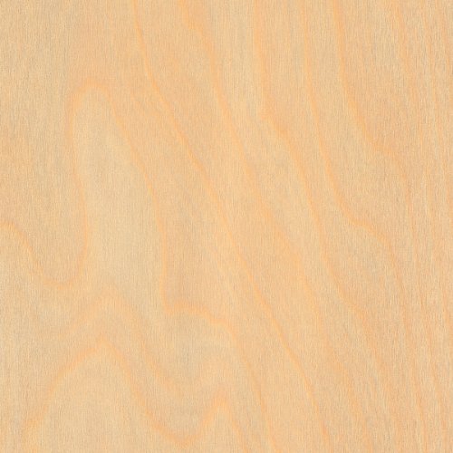 Algopix Similar Product 14 - Preglued Birch Edgebanding - 50' Roll