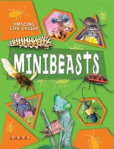 Minibeasts (Amazing Life Cycles) by George C Mcgavin? George C. McGavin