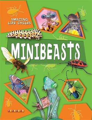 Minibeasts (Amazing Life Cycles)