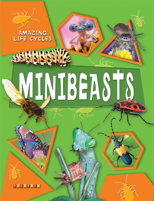 Minibeasts (Amazing Life Cycles) by George C Mcgavin? George C. McGavin