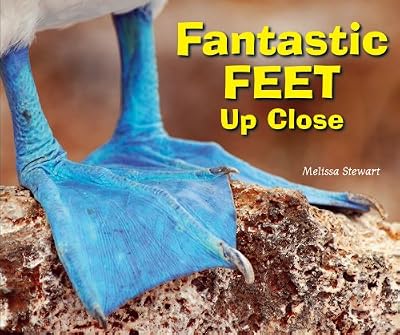Fantastic Feet Up Close
