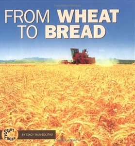 From Wheat to Bread (Start to Finish)