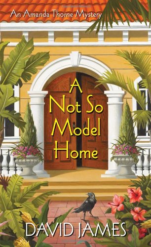 A Not So Model Home by David James